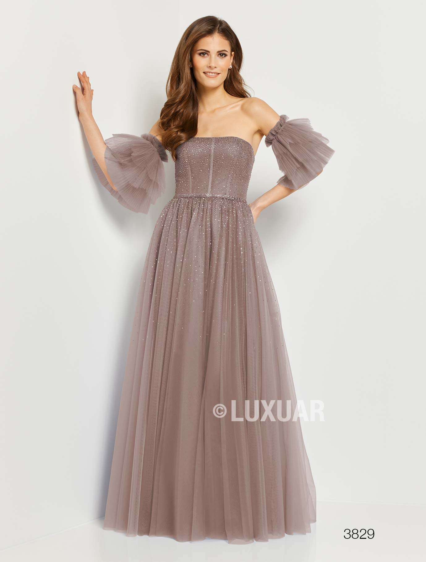 3829-taupe-web ID 17081